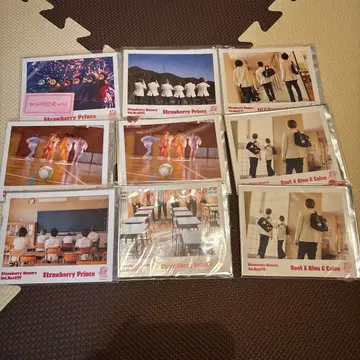 스토푸리 실사 브로마이드