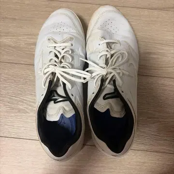 미즈노 라이트레보버디 TPU 26.5cm