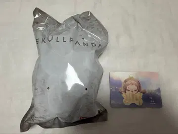 SKULLPANDA L'impressionnisme Teakwood