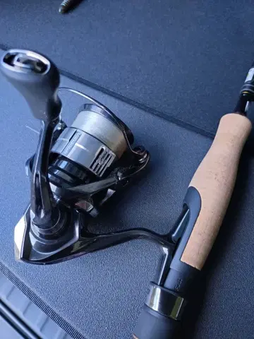 23 뱅퀴시 C2500SXG