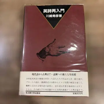 영시 재입문 카와사키 히데히코 나고야 대학 출판회
