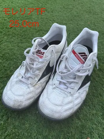 모레리아 TF 25.0cm