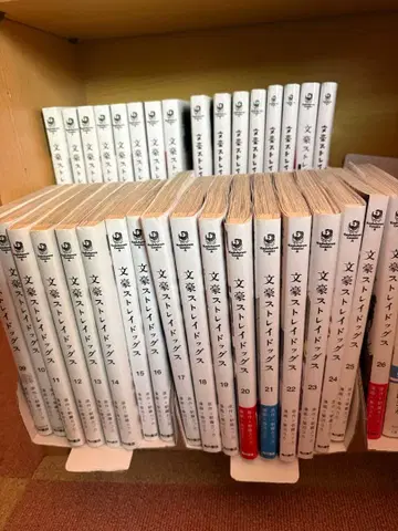 문호 스트레이독스 단행본 1~26권, 완! 1~6.9권, Beast 1권