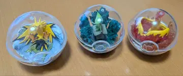 포켓몬 테라리움 컬렉션 3개 세트 썬더 파이어 셀레비