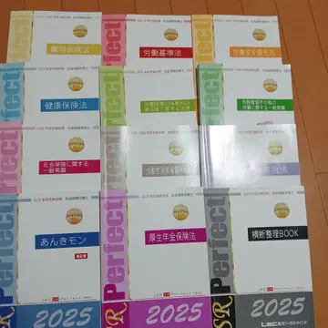 LEC 사노시 2025년판 Perfect 시리즈 자격 시험 대책 도서