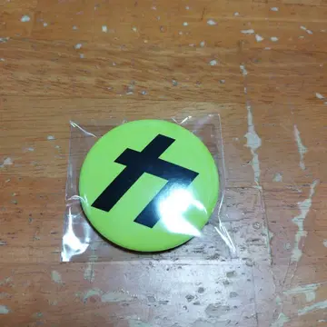 카리스마 맥스 캔 배지