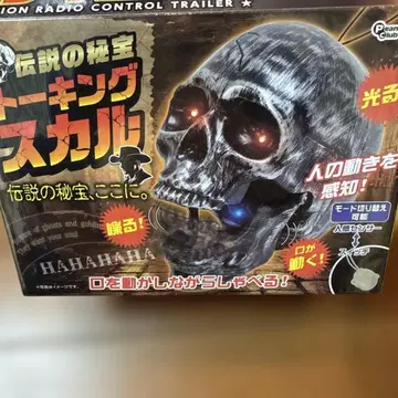 토킹 스컬 빛나는 해골