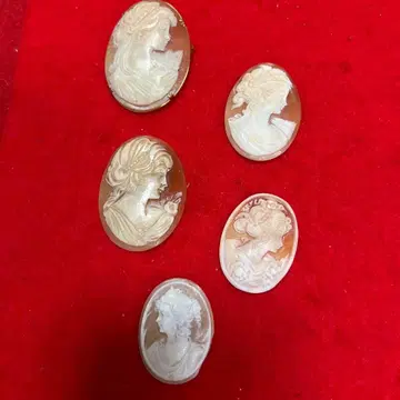 카메오 5개 세트 여성 디자인