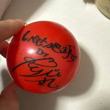 레페젠 지구 사인볼 DJ 마루