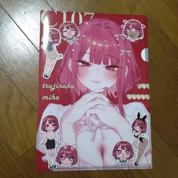 다니마루 studio C107 클리어 파일