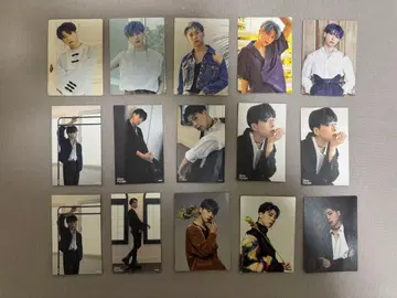 OWV 사노 후미야 트레이딩 카드