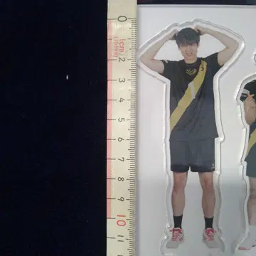 아크릴 스탠드 배구 남자 오노데라 타이지