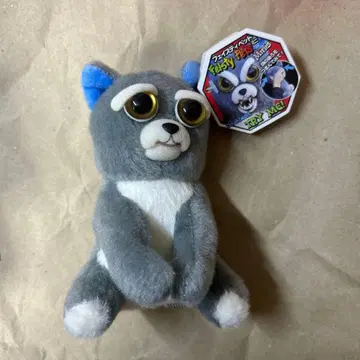 택 포함 Feistypets 페이스티펫 앵그리 캣