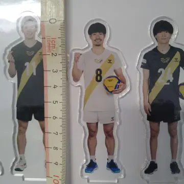 아크릴 스탠드 배구 남자 세키타 세이타