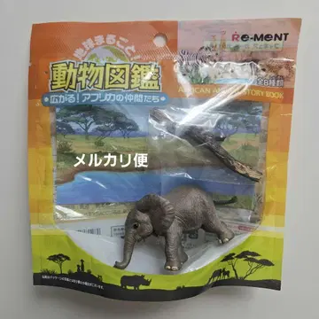 리멘트 동물도감 코끼리(어린이)