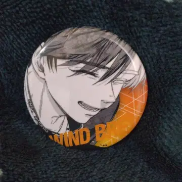 윈드 브레이커 남코 배지 사쿠라 하루카 한정판 레어
