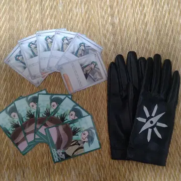 칠리 포켓몬 카드 5장과 슬리브 5장 칠리 장갑 그로브 세트