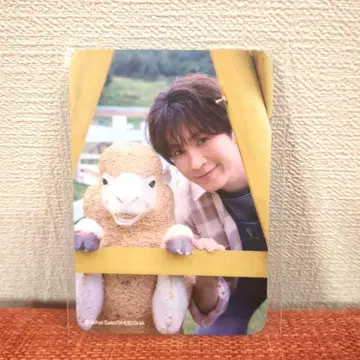 SHOW-WA 달력북 트레이딩 카드 테라다 신지로 신짱