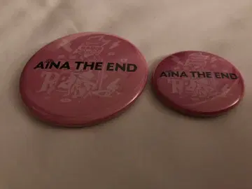 레이디클 2025 캔뱃지 아이나 지 엔드