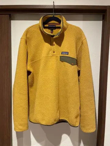 2022년 모델 파타고니아 신틸라 스냅T 캐빈 골드 M