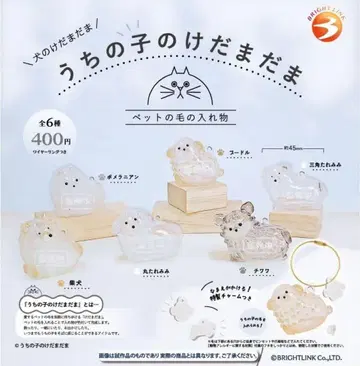 정품*새상품 우리 아이 털뭉치 강아지 (치와와 둥근 귀, 삼각형 귀)