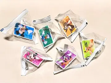 미사용 새상품 디즈니 파크 티켓 네임택 참 키체인