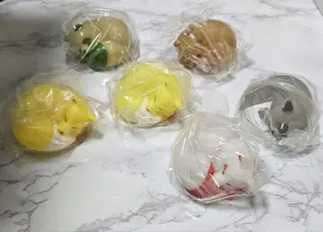 손안의 등 컴프