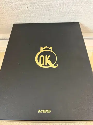 MBS 핀즈 핀 배지