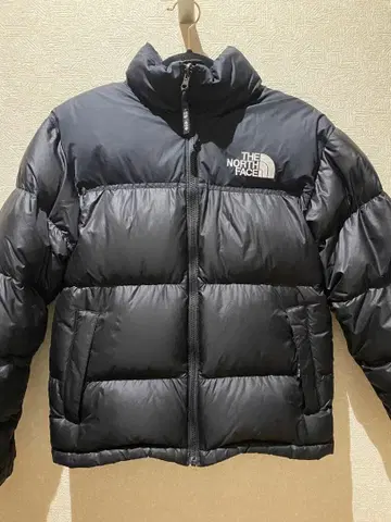 THE NORTH FACE 다운 자켓 에코 눕시 눕시 남성용 S