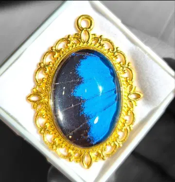 숲의 보석! 정품 오오루리아게하의 오벌 탑