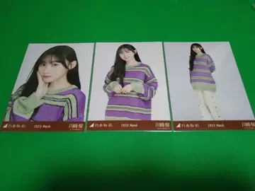 노기자카46 [ 카와사키 벚꽃 ] 빅 보더 브로마이드 3종 컴프