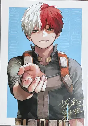 나의 히어로 아카데미아 히로아카 리치 포스터 토도로키 쇼토