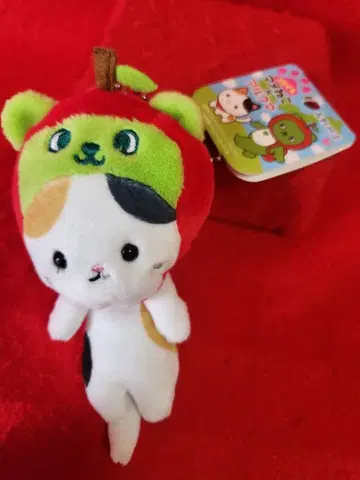 여행하는 콩고양이 아루쿠마 나가노현 고양이 스트랩 봉제 인형 지역 한정