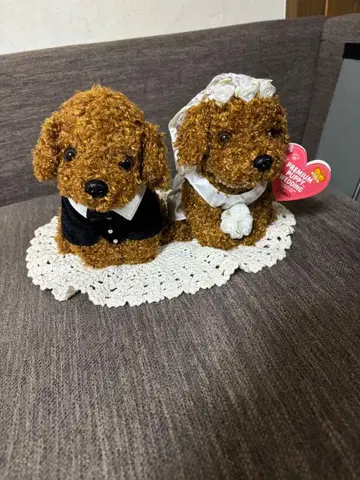 토이 푸들 봉제 인형 해피 웨딩