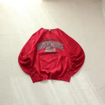 00s FRUIT OF THE LOOM USA 관광 프린트 맨투맨 XL