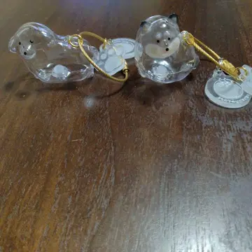 우리 아이의 털뭉치