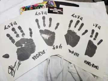 레어 쇼난노카제 회원 특전 혜택 사인 포함 입체 손 모양