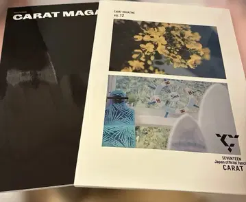 SEVENTEEN CARAT MAGAZINE 2권 세트 즉시 구매 OK