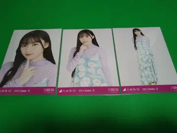 노기자카46 [카와사키 사쿠라] 팝 브로마이드 3종 컴프