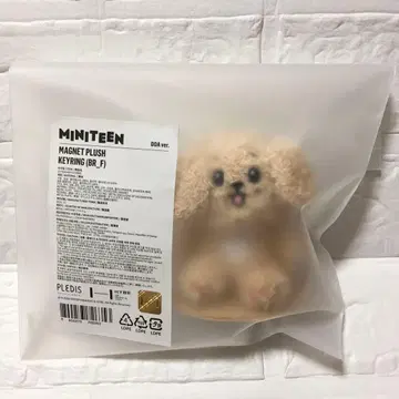 MINITEEN DOA 도겸 MAGNET PLUSH KEYRING