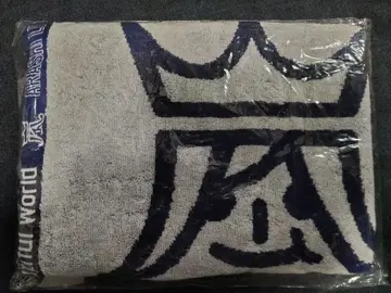 아라시 Beautiful World 타월 덤