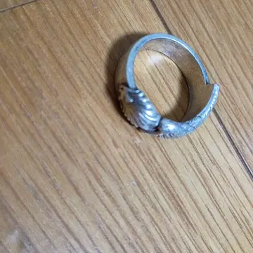 파이널 판타지 슬리핑 라이온 하트