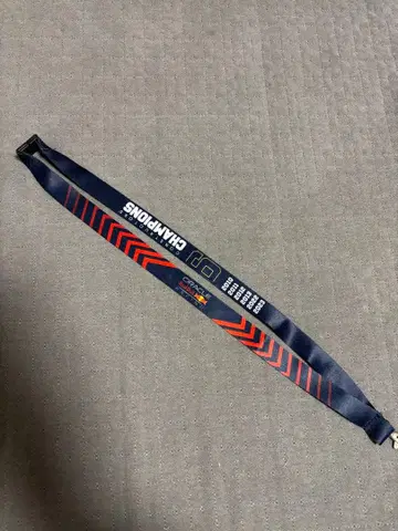 Oracle Red Bull Racing CHAMPIONS 스트랩