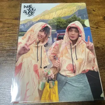 BTS Are you sure?! 이게맞아 season2 클리어 파일