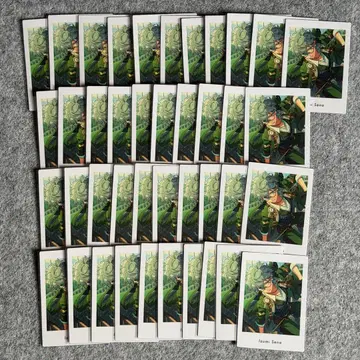 앙스타 파샤츠 vol.6 action 이즈미