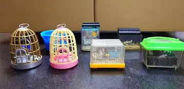 즐거운 사육 당번 노멀 6종 시크릿 1종 총 7종