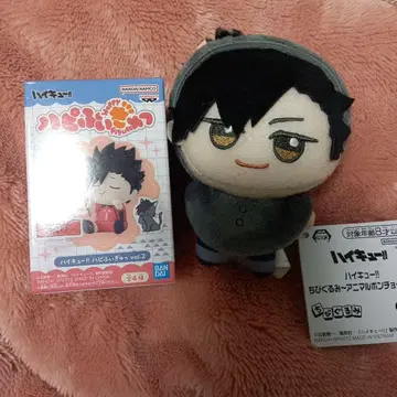 하이큐 쿠로오 테츠로 피규어 봉제 인형