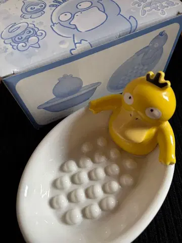 비누 받침 코닥은 태평하다.