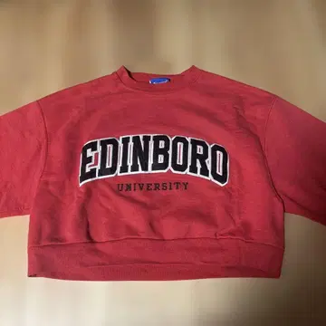 CHAMPION EDINBORO UNIVERSITY 크롭 맨투맨