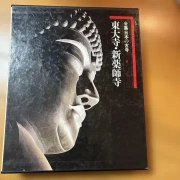 동대사 신약사사 전집 일본의 고찰 11